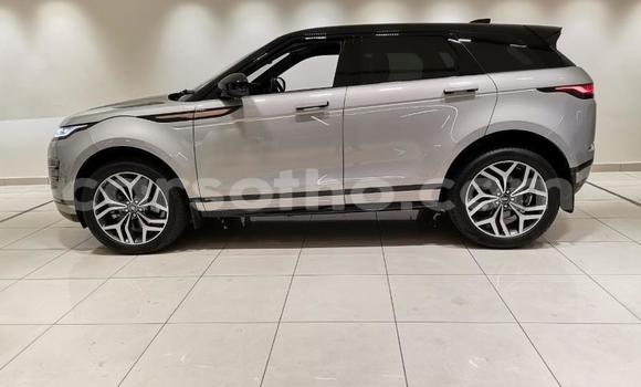اشتري مستعمل Range Rover Evoque Silver سيارة في Maputsoa في Leribe اشتري مستعمل Range Rover Evoque Silver سيارة في Maputsoa في Leribe