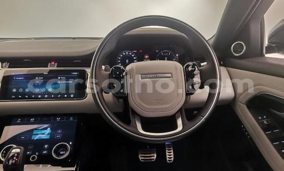 اشتري مستعمل Range Rover Evoque Silver سيارة في Maputsoa في Leribe اشتري مستعمل Range Rover Evoque Silver سيارة في Maputsoa في Leribe