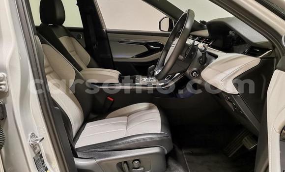 اشتري مستعمل Range Rover Evoque Silver سيارة في Maputsoa في Leribe اشتري مستعمل Range Rover Evoque Silver سيارة في Maputsoa في Leribe