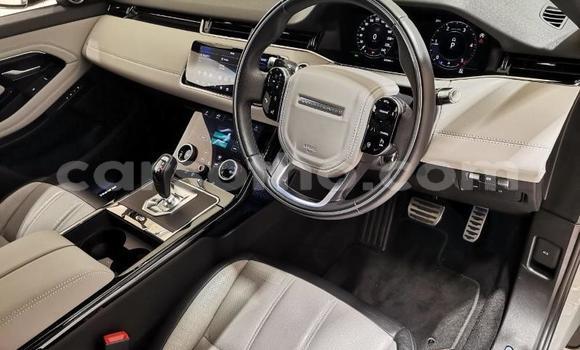 اشتري مستعمل Range Rover Evoque Silver سيارة في Maputsoa في Leribe اشتري مستعمل Range Rover Evoque Silver سيارة في Maputsoa في Leribe