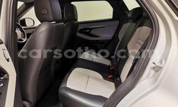 اشتري مستعمل Range Rover Evoque Silver سيارة في Maputsoa في Leribe اشتري مستعمل Range Rover Evoque Silver سيارة في Maputsoa في Leribe