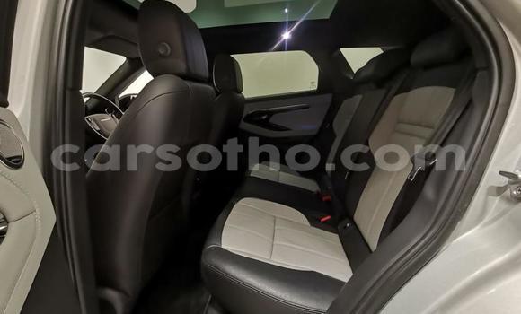 اشتري مستعمل Range Rover Evoque Silver سيارة في Maputsoa في Leribe اشتري مستعمل Range Rover Evoque Silver سيارة في Maputsoa في Leribe