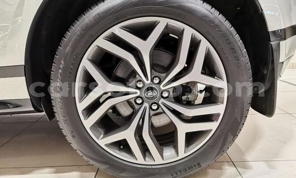 اشتري مستعمل Range Rover Evoque Silver سيارة في Maputsoa في Leribe اشتري مستعمل Range Rover Evoque Silver سيارة في Maputsoa في Leribe