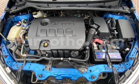 اشتري مستعمل Toyota Corolla Blue سيارة في Maputsoe في Leribe اشتري مستعمل Toyota Corolla Blue سيارة في Maputsoe في Leribe