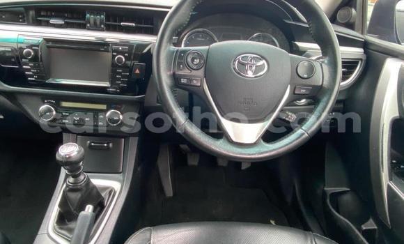 اشتري مستعمل Toyota Corolla Blue سيارة في Maputsoe في Leribe اشتري مستعمل Toyota Corolla Blue سيارة في Maputsoe في Leribe
