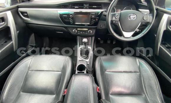 اشتري مستعمل Toyota Corolla Blue سيارة في Maputsoe في Leribe اشتري مستعمل Toyota Corolla Blue سيارة في Maputsoe في Leribe
