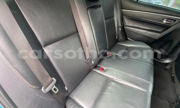 اشتري مستعمل Toyota Corolla Blue سيارة في Maputsoe في Leribe اشتري مستعمل Toyota Corolla Blue سيارة في Maputsoe في Leribe