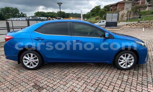 اشتري مستعمل Toyota Corolla Blue سيارة في Maputsoe في Leribe اشتري مستعمل Toyota Corolla Blue سيارة في Maputsoe في Leribe