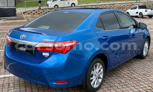 اشتري مستعمل Toyota Corolla Blue سيارة في Maputsoe في Leribe اشتري مستعمل Toyota Corolla Blue سيارة في Maputsoe في Leribe