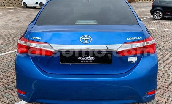 اشتري مستعمل Toyota Corolla Blue سيارة في Maputsoe في Leribe اشتري مستعمل Toyota Corolla Blue سيارة في Maputsoe في Leribe