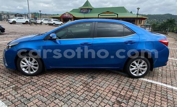 اشتري مستعمل Toyota Corolla Blue سيارة في Maputsoe في Leribe اشتري مستعمل Toyota Corolla Blue سيارة في Maputsoe في Leribe