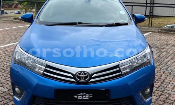 اشتري مستعمل Toyota Corolla Blue سيارة في Maputsoe في Leribe اشتري مستعمل Toyota Corolla Blue سيارة في Maputsoe في Leribe