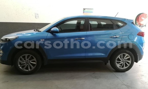 Sayi Na hannu Hyundai Tucson Blue Mota in Maseru a Maseru Sayi Na hannu Hyundai Tucson Blue Mota in Maseru a Maseru