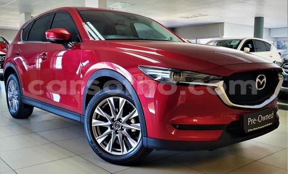 اشتري مستعمل Mazda CX-5 Red سيارة في Maputsoe في Leribe اشتري مستعمل Mazda CX-5 Red سيارة في Maputsoe في Leribe