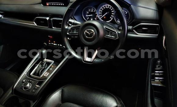 اشتري مستعمل Mazda CX-5 Red سيارة في Maputsoe في Leribe اشتري مستعمل Mazda CX-5 Red سيارة في Maputsoe في Leribe