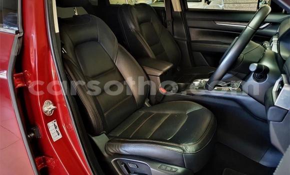 اشتري مستعمل Mazda CX-5 Red سيارة في Maputsoe في Leribe اشتري مستعمل Mazda CX-5 Red سيارة في Maputsoe في Leribe