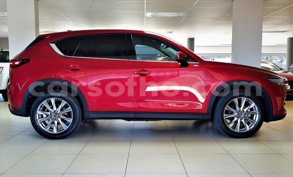 اشتري مستعمل Mazda CX-5 Red سيارة في Maputsoe في Leribe اشتري مستعمل Mazda CX-5 Red سيارة في Maputsoe في Leribe