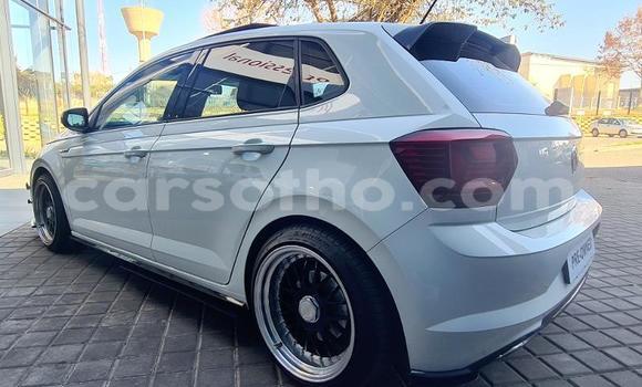 اشتري مستعمل Volkswagen Polo White سيارة في Mafeteng في Mafeteng اشتري مستعمل Volkswagen Polo White سيارة في Mafeteng في Mafeteng