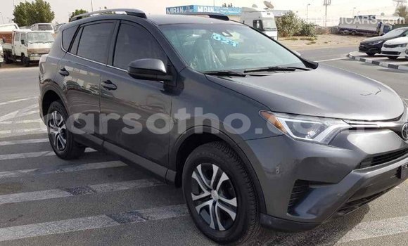 Sayi Imported Toyota RAV4 Other Mota in Import - Dubai a Maseru Sayi Imported Toyota RAV4 Other Mota in Import - Dubai a Maseru