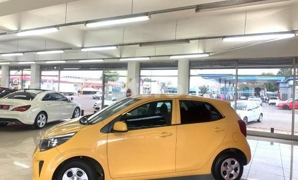 اشتري مستعمل Kia Picanto Other سيارة في Mafeteng في Mafeteng اشتري مستعمل Kia Picanto Other سيارة في Mafeteng في Mafeteng