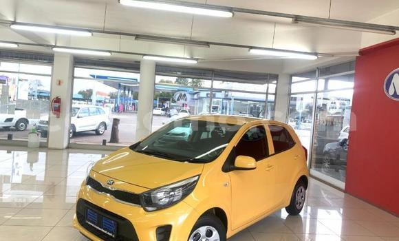اشتري مستعمل Kia Picanto Other سيارة في Mafeteng في Mafeteng اشتري مستعمل Kia Picanto Other سيارة في Mafeteng في Mafeteng
