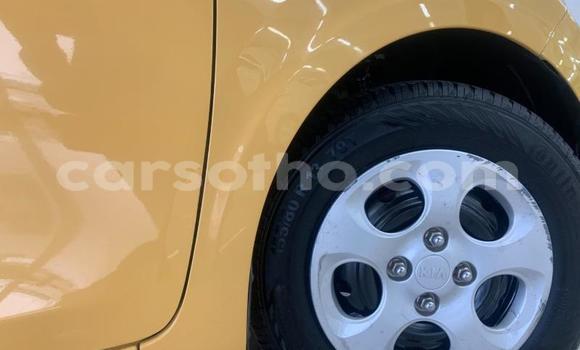 اشتري مستعمل Kia Picanto Other سيارة في Mafeteng في Mafeteng اشتري مستعمل Kia Picanto Other سيارة في Mafeteng في Mafeteng