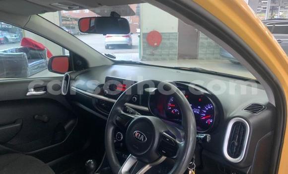 اشتري مستعمل Kia Picanto Other سيارة في Mafeteng في Mafeteng اشتري مستعمل Kia Picanto Other سيارة في Mafeteng في Mafeteng