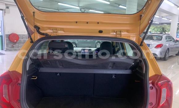 اشتري مستعمل Kia Picanto Other سيارة في Mafeteng في Mafeteng اشتري مستعمل Kia Picanto Other سيارة في Mafeteng في Mafeteng