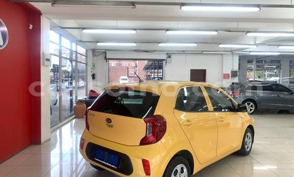 اشتري مستعمل Kia Picanto Other سيارة في Mafeteng في Mafeteng اشتري مستعمل Kia Picanto Other سيارة في Mafeteng في Mafeteng