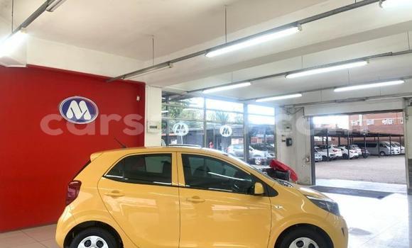 اشتري مستعمل Kia Picanto Other سيارة في Mafeteng في Mafeteng اشتري مستعمل Kia Picanto Other سيارة في Mafeteng في Mafeteng