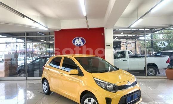 اشتري مستعمل Kia Picanto Other سيارة في Mafeteng في Mafeteng اشتري مستعمل Kia Picanto Other سيارة في Mafeteng في Mafeteng