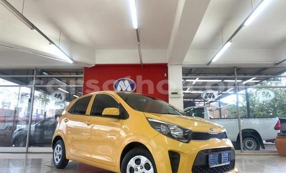 اشتري مستعمل Kia Picanto Other سيارة في Mafeteng في Mafeteng اشتري مستعمل Kia Picanto Other سيارة في Mafeteng في Mafeteng