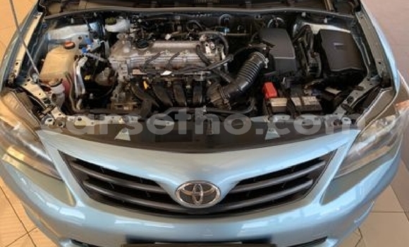 Acheter Occasion Voiture Toyota Corolla Bleu à Maseru, Maseru Acheter Occasion Voiture Toyota Corolla Bleu à Maseru, Maseru