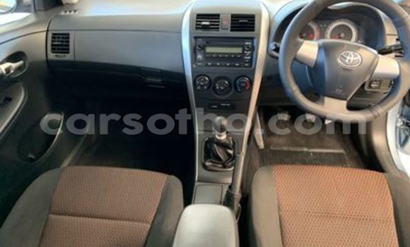 Acheter Occasion Voiture Toyota Corolla Bleu à Maseru, Maseru Acheter Occasion Voiture Toyota Corolla Bleu à Maseru, Maseru