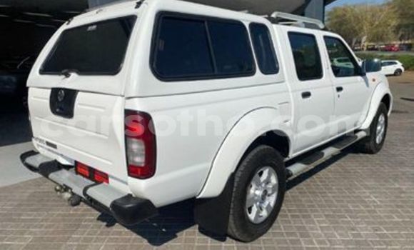 اشتري مستعمل Nissan Hardbody White سيارة في Maseru في Maseru اشتري مستعمل Nissan Hardbody White سيارة في Maseru في Maseru