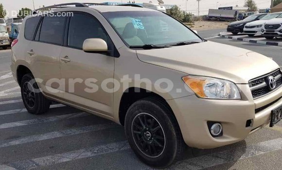 Buy Import Toyota RAV4 Other Car in Import - Dubai in Maseru Buy Import Toyota RAV4 Other Car in Import - Dubai in Maseru