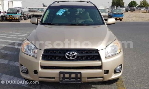 Buy Import Toyota RAV4 Other Car in Import - Dubai in Maseru Buy Import Toyota RAV4 Other Car in Import - Dubai in Maseru