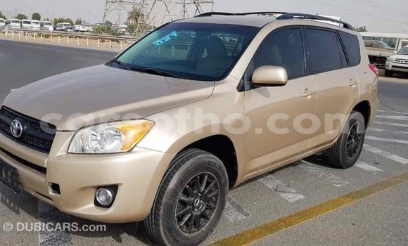 Buy Import Toyota RAV4 Other Car in Import - Dubai in Maseru Buy Import Toyota RAV4 Other Car in Import - Dubai in Maseru