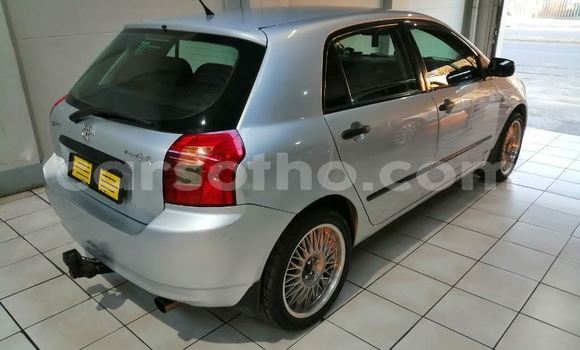 Sayi Na hannu Toyota Runx Silver Mota in Maseru a Maseru Sayi Na hannu Toyota Runx Silver Mota in Maseru a Maseru