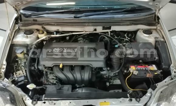 Sayi Na hannu Toyota Runx Silver Mota in Maseru a Maseru Sayi Na hannu Toyota Runx Silver Mota in Maseru a Maseru