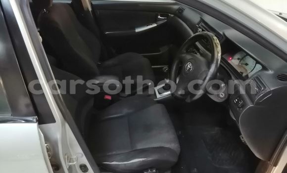 Sayi Na hannu Toyota Runx Silver Mota in Maseru a Maseru Sayi Na hannu Toyota Runx Silver Mota in Maseru a Maseru