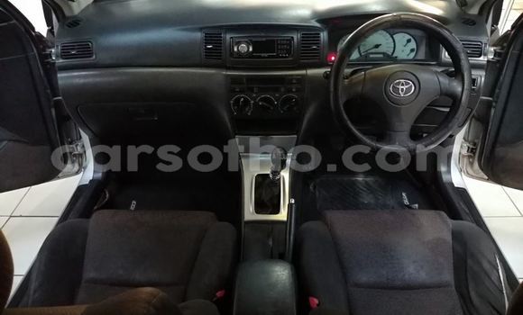 Sayi Na hannu Toyota Runx Silver Mota in Maseru a Maseru Sayi Na hannu Toyota Runx Silver Mota in Maseru a Maseru