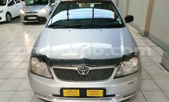 Sayi Na hannu Toyota Runx Silver Mota in Maseru a Maseru Sayi Na hannu Toyota Runx Silver Mota in Maseru a Maseru