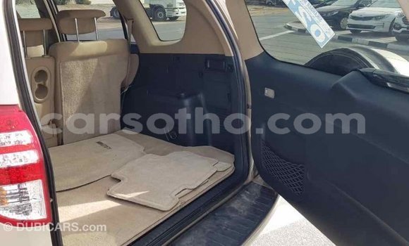 Buy Import Toyota RAV4 Other Car in Import - Dubai in Maseru Buy Import Toyota RAV4 Other Car in Import - Dubai in Maseru