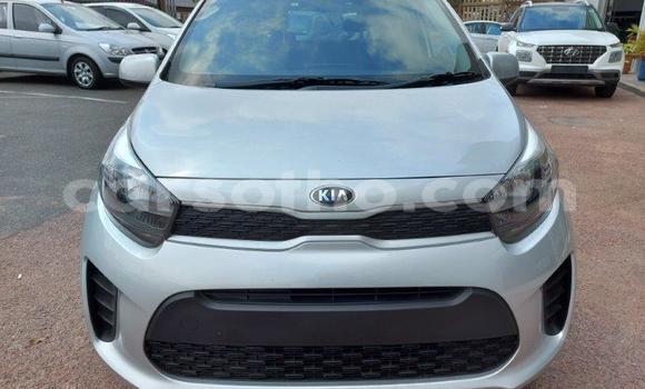 Acheter Occasion Voiture Kia Picanto Gris à Maputsoa, Leribe Acheter Occasion Voiture Kia Picanto Gris à Maputsoa, Leribe