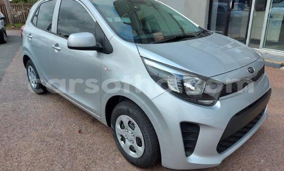Acheter Occasion Voiture Kia Picanto Gris à Maputsoa, Leribe Acheter Occasion Voiture Kia Picanto Gris à Maputsoa, Leribe