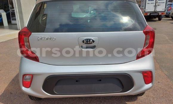 Acheter Occasion Voiture Kia Picanto Gris à Maputsoa, Leribe Acheter Occasion Voiture Kia Picanto Gris à Maputsoa, Leribe