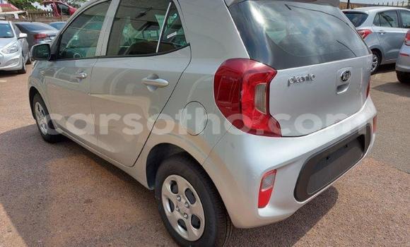 Acheter Occasion Voiture Kia Picanto Gris à Maputsoa, Leribe Acheter Occasion Voiture Kia Picanto Gris à Maputsoa, Leribe