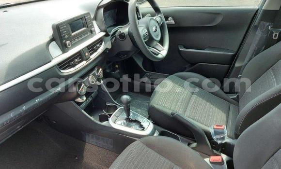 Acheter Occasion Voiture Kia Picanto Gris à Maputsoa, Leribe Acheter Occasion Voiture Kia Picanto Gris à Maputsoa, Leribe