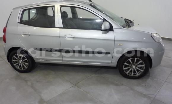 Acheter Occasion Voiture Kia Picanto Gris à Maputsoa, Leribe Acheter Occasion Voiture Kia Picanto Gris à Maputsoa, Leribe